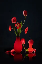 Tulipes rouges éclatantes et vases