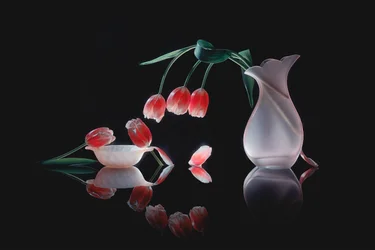 Reflet de tulipes lumineuses