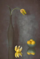 Gracieuse tulipe et citrons