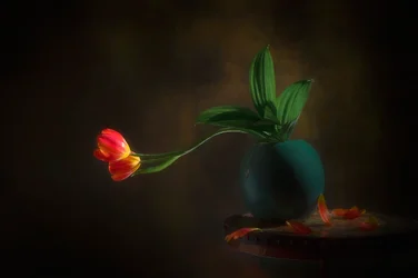 Nature morte aux gracieuses tulipes