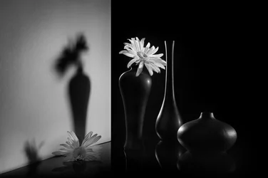 Double floral monochrome