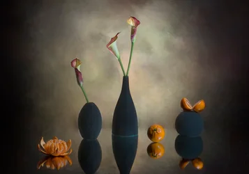 Arums et oranges mélancoliques