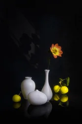 Fleur et fruit mélancoliques