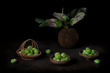 Nature morte mélancolique aux pousses