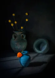 Vases de natures mortes mélancoliques