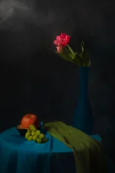 Nature morte mélancolique aux tulipes