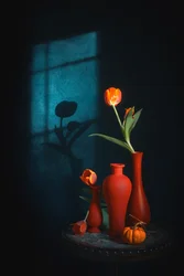 Nature morte aux tulipes mélancoliques