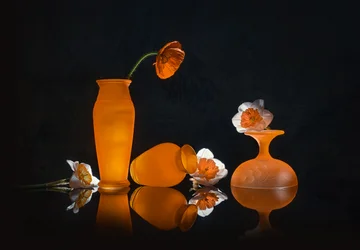 Nature morte aux fleurs orangées