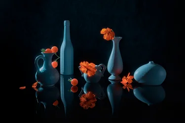Fleurs orange, vases bleus