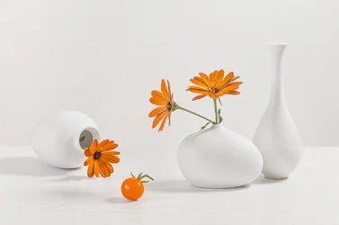 Nature morte moderne aux fleurs orange