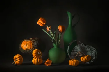 Récolte automnale orange et verte