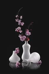 Fleurs roses, vases givrés