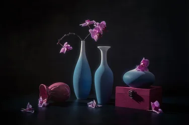 Orchidées roses et vases