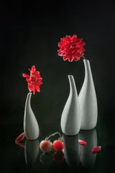 Dahlias rouges et vases
