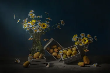 Fruits et fleurs rustiques