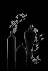 Arrangement floral serein