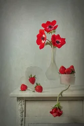 Floraison printanière et baies