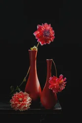 Nature morte vibrante aux dahlias