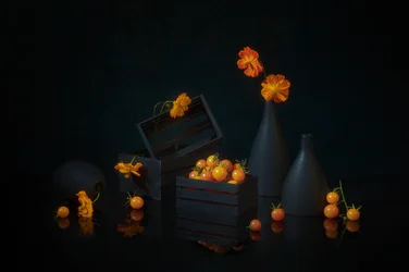 Nature morte de récolte éclatante