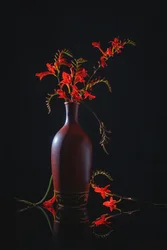 Vibrante nature morte rouge