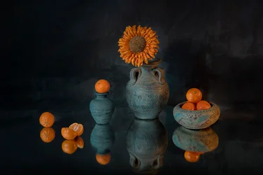 Tournesol éclatant, mandarines