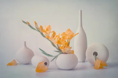 Fleurs jaunes et vases blancs