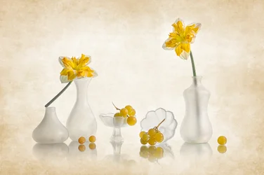 Jonquilles jaunes et raisins