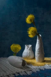 Nature morte à la protéa jaune