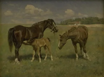 Trois chevaux dans un champ