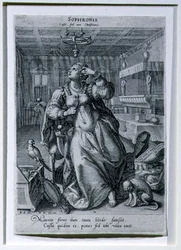 Sophronia, d