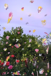 Fleurs abstraites, 2019
