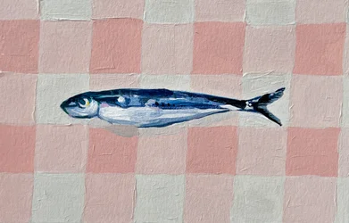 Sardine à carreaux roses