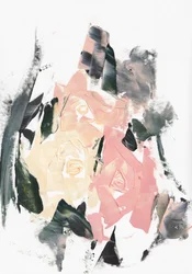 Roses roses abstraites
