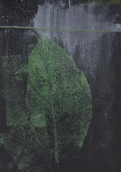 Feuille verte abstraite