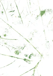 Lignes vertes abstraites