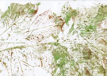 Feuille abstraite