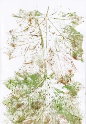 Impressions de feuilles d