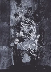 Nature noire