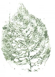 Imprimé botanique à feuilles