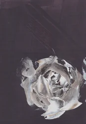 Rose abstraite sombre