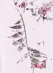 Impressions de Dark Leaf