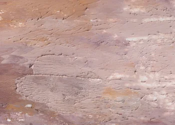 Textures de terre sèche