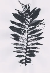 Feuille d
