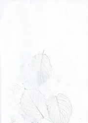 Feuilles blanches éthérées