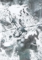 Feuillage hivernal éthéré