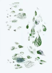 Feuilles vertes qui tombent
