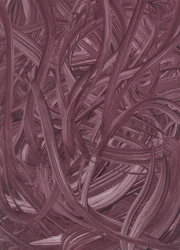 Des traits fluides couleur prune
