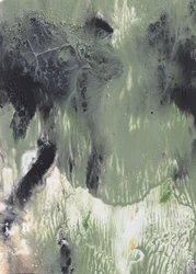 Fluid Green - Résumé