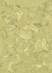Des traits fluides et organiques