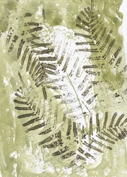 Impressions de Green Fern
